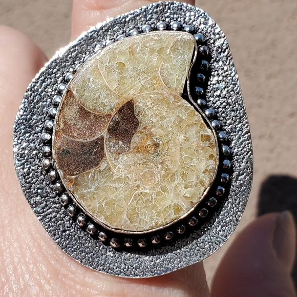 New Unique Oversized Ammonite 925 Silver Ring. - Picture 11 of 13